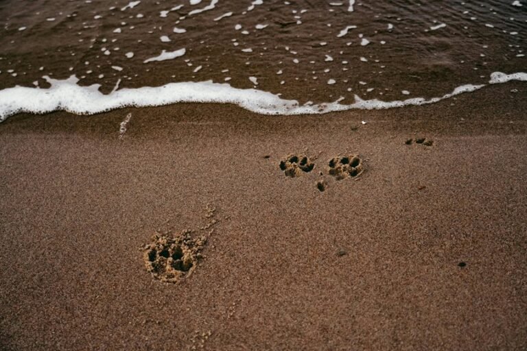 instant assessment of footprint