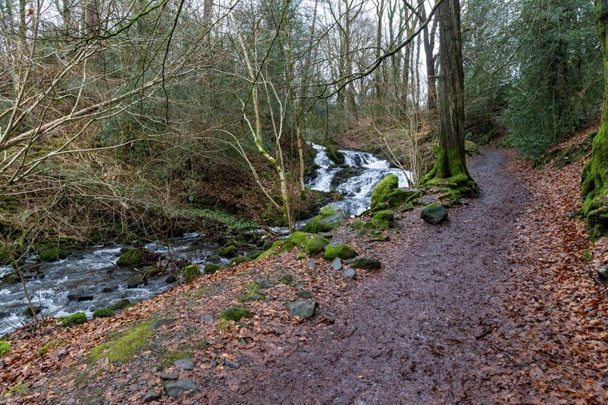 horizon flow growth path